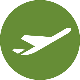 Avi&oacute;n