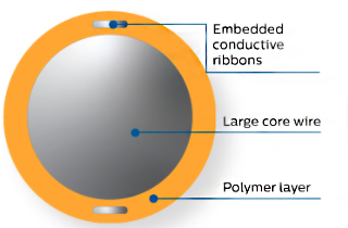 N&uacute;cleo s&oacute;lido