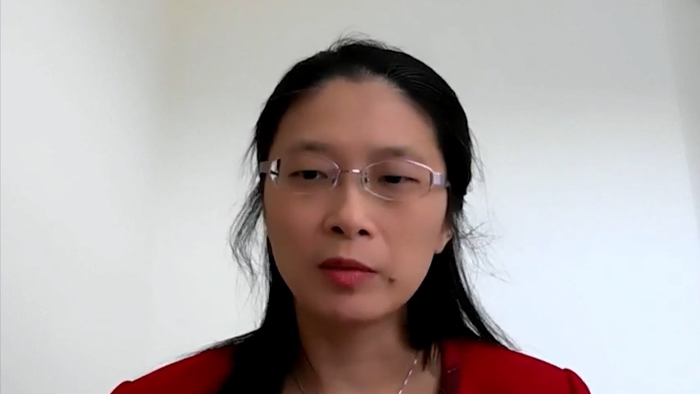 Collaboration Live para ecograf&iacute;a remota en tiempo real