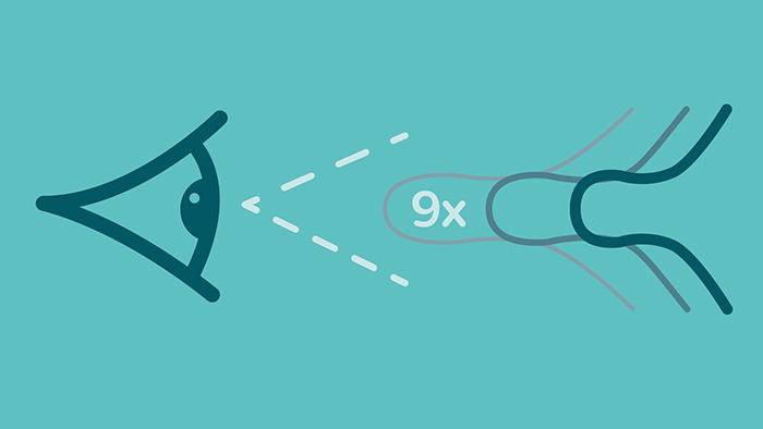 Observaciones de estiramiento del pez&oacute;n