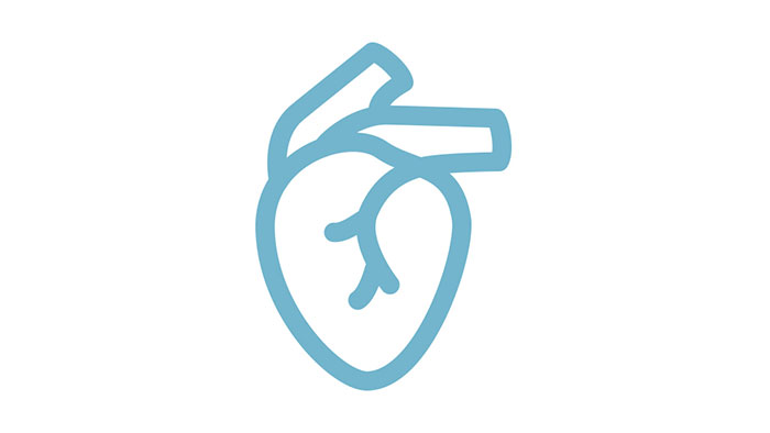 Ultrasonidos para aplicaciones cardiovasculares