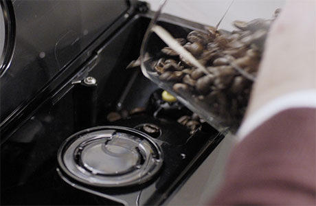 Llenado de la tolva para granos de caf&eacute;