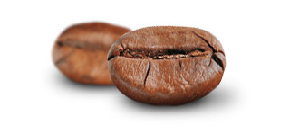 Caf&eacute; Robusta