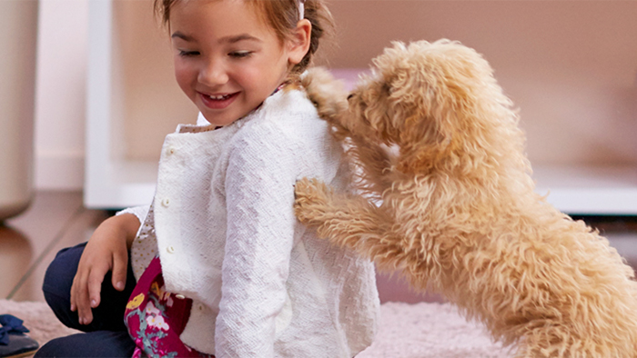 Cómo limpiar una alfombra: simples pasos