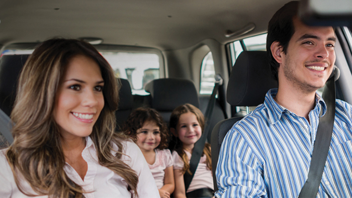 C&oacute;mo quitar pelos del perro del coche