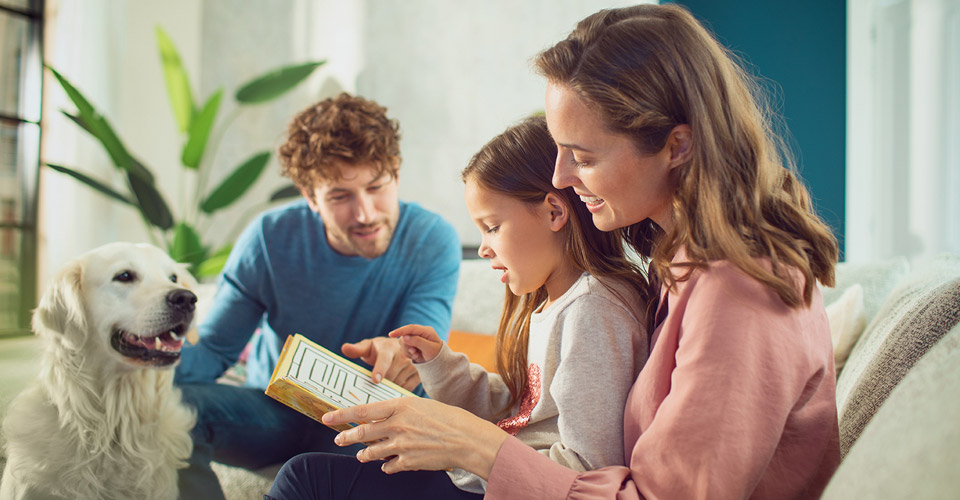 Consejos pr&aacute;cticos para aliviar la alergia a la caspa de mascotas