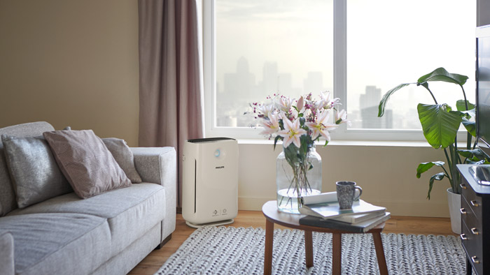 C&oacute;mo mejorar la calidad del aire en casa