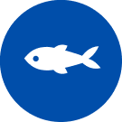 Icono de pescado
