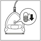 instrucci&oacute;n